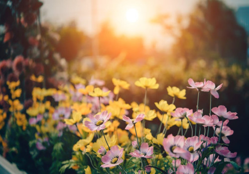 Je tuin inrichten anno 2024: tips met cortenstaal!